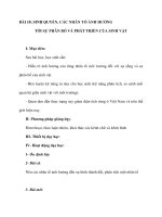 BÀI 18: SINH QUYỂN, CÁC NHÂN TỐ ẢNH HƯỞNG TỚI SỰ PHÂN BỐ VÀ PHÁT TRIỂN CỦA SINH VẬT pot