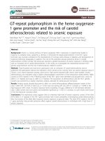 GT-repeat polymorphism in the heme oxygenase1 gene promoter and the risk of carotid atherosclerosis related to arsenic exposure ppt