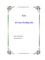 Đề tài : Kế Toán Vốn Bằng Tiền potx