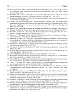 Stem Cells in Endocrinology - part 3 doc