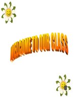 Giáo án điện tử tiểu học môn tiếng anh: say the name of the animals potx