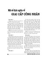 Báo cáo nghiên cứu khoa học 