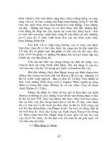 Các nhạc khí trong dàn nhạc giao hưởng part 3 pptx