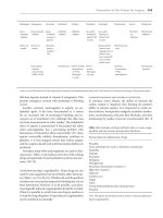 Basics of Blood Management - part 5 ppsx