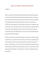 TIẾNG TÂY KHÔNG LÀM SANG TIẾNG VIỆT pdf