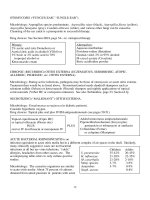 Otolaryngolog Head and Neck Surgery - part 4 pptx