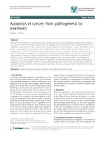 báo cáo khoa học: 