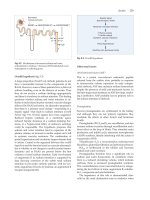Diseases of the Liver and Biliary System - part 3 potx