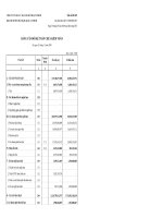 CÔNG TY CP ĐẦU TƯ HẠ TẦNG KỸ THUẬT TP.HCM - BẢNG CÂN ĐỐI KẾ TOÁN CHƯA KIỂM TOÁN docx