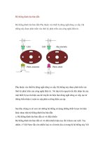 Hệ thống đánh lửa bán dẫn doc
