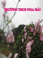 Bai 7 Phep cong phan so ppsx