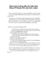 Giáo trình hướng dẫn tìm hiểu lệnh Show IP Router khi cấu hình router phần 1 docx