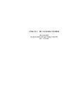 CÔNG TY CỔ PHẦN VĂN HÓA TÂN BÌNH - BÁO CÁO TÀI CHÍNH CẢ NĂM 2010 ppsx