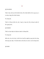 Lý thuyết y khoa: Tên thuốc QUINACRINE ppt