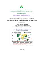 Báo cáo đánh giá về cây trồng chuyển gen pptx