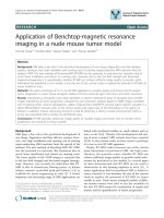 báo cáo khoa học: 