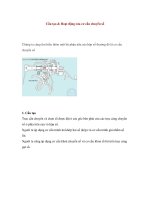 Cấu tạo & Hoạt động của cơ cấu chuyển số ppsx