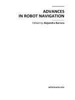 Advances in Robot Navigation Part 1 pot
