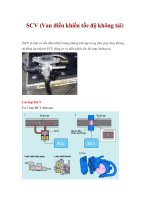 SCV (Van điều khiển tốc độ không tải) pot