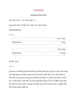 Lý thuyết y khoa: Tên thuốc CAVINTON GEDEON RICHTER ppsx