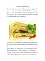 Ăn chân gà chữa bách bệnh pps