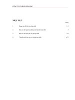 CÔNG TY CỔ PHẦN GÒ ĐÀNG - BÁO CÁO TÀI CHÍNH Q1 - 2011 potx