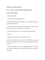 CHƯƠNG 5: NHÓM HALOGEN pdf