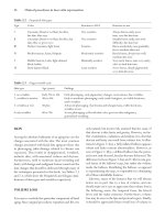 Clinical Procedures in Laser Skin Rejuvenation - part 2 pot