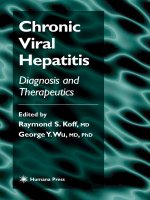 Chronic Viral Hepatitis - part 1 potx
