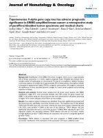 báo cáo khoa học: 