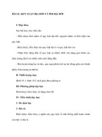 BÀI 21: QUY LUẬT ĐỊA ĐỚI VÀ PHI ĐỊA ĐỚI ppt