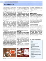 Gastroenterology an illustrated colour text - part 9 pps