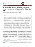 Hypoglycemia induced changes in cholinergic receptor expression in the cerebellum of diabetic rats ppt