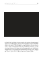 Endocrinology Basic and Clinical Principles - part 6 pps