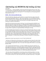 Ảnh hưởng của REDD lên thị trường các pptx