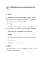 Tiết 16 : GIÁ TRỊ LƯỢNG GIÁC CỦA GÓC BẤT KỲ pot