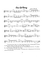 Tự đặt hợp âm cho đàn Guitar và Organ tập 2 part 4 pdf