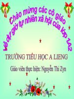Giáo án điện tử tiểu học: Tự nhiên xã hội lớp 1 pps