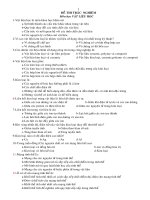 cau hoi thi trac nghiem ppsx