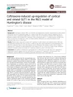Ceftriaxone-induced up-regulation of cortical and striatal GLT1 in the R6/2 model of Huntington’s disease pps