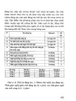 Thể dục thể hình – Phương pháp tập luyện part 10 potx