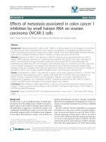 báo cáo khoa học: 