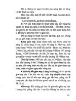 Kỹ thuật gieo trồng và chăm sóc lúa part 5 docx