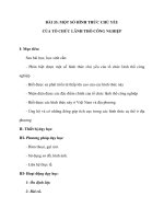 BÀI 33: MỘT SỐ HÌNH THỨC CHỦ YẾU CỦA TỔ CHỨC LÃNH THỔ CÔNG NGHIỆP pdf