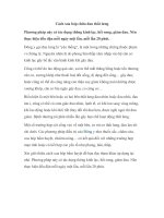 Cách xoa bóp chữa đau thắt lưng pdf