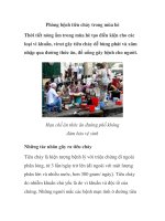 Phòng bệnh tiêu chảy trong mùa hè pps