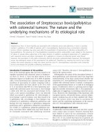 báo cáo khoa học: 