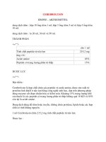 Lý thuyết y khoa: Tên thuốc CEREBROLYSIN EBEWE - ARZNEIMITTEL pot