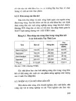 Sản xuất rau an toàn theo tiêu chuẩn thực hành nông nghiệp tốt (GAP) part 9 pot