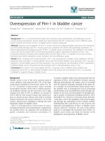 báo cáo khoa học: 